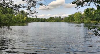 Mehr Nichtschwimmer: Bademeister fürchten Zunahme von Badeunfällen