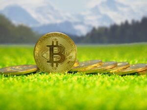 Metaplanet gründet Tochterfirmen in den USA und Japan, kauft Domain bitcoin.jp