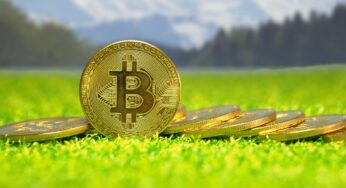 Metaplanet gründet Tochterfirmen in den USA und Japan, kauft Domain bitcoin.jp