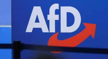 SPD-Politiker Stegner fordert rasches AfD-Verbotsverfahren