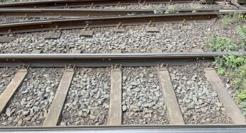 Pro Schiene: Bahnstrategie soll auf Rendite durchs Netz verzichten