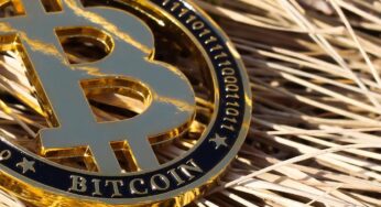 Krypto-Aktien stürzen am Mittwoch ab – Galaxy und Bitcoin-Miner führen Verluste an