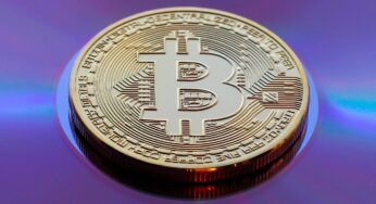 FIGHT-Token-Verkauf sammelt 183 Millionen Dollar ein – UFC-Partner Fight.ID will Kampfsport in die Blockchain bringen