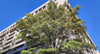 IWF sieht starke Parallelen zur Dotcom-Blase