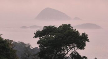 Deutschland stellt eine Milliarde für Tropenfonds bereit