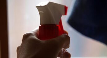 Nur jede zehnte Haushaltshilfe in Deutschland ist angemeldet