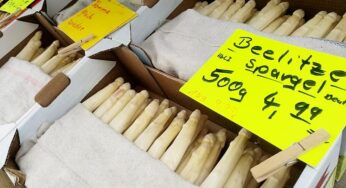 CDU pocht auf Mindestlohn-Ausnahmen für Saisonarbeiter