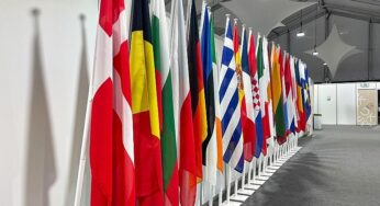 Insider: EU erwägt Sondergipfel wegen Grönland-Streit