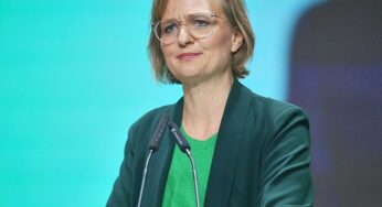 Brantner will härteres Vorgehen gegen Online-Plattformen